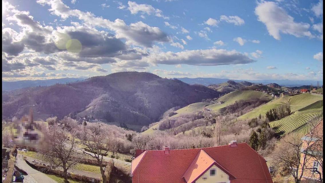 Отель Wohlmuth-Lueckl Китцекк-им-Заузаль Экстерьер фото