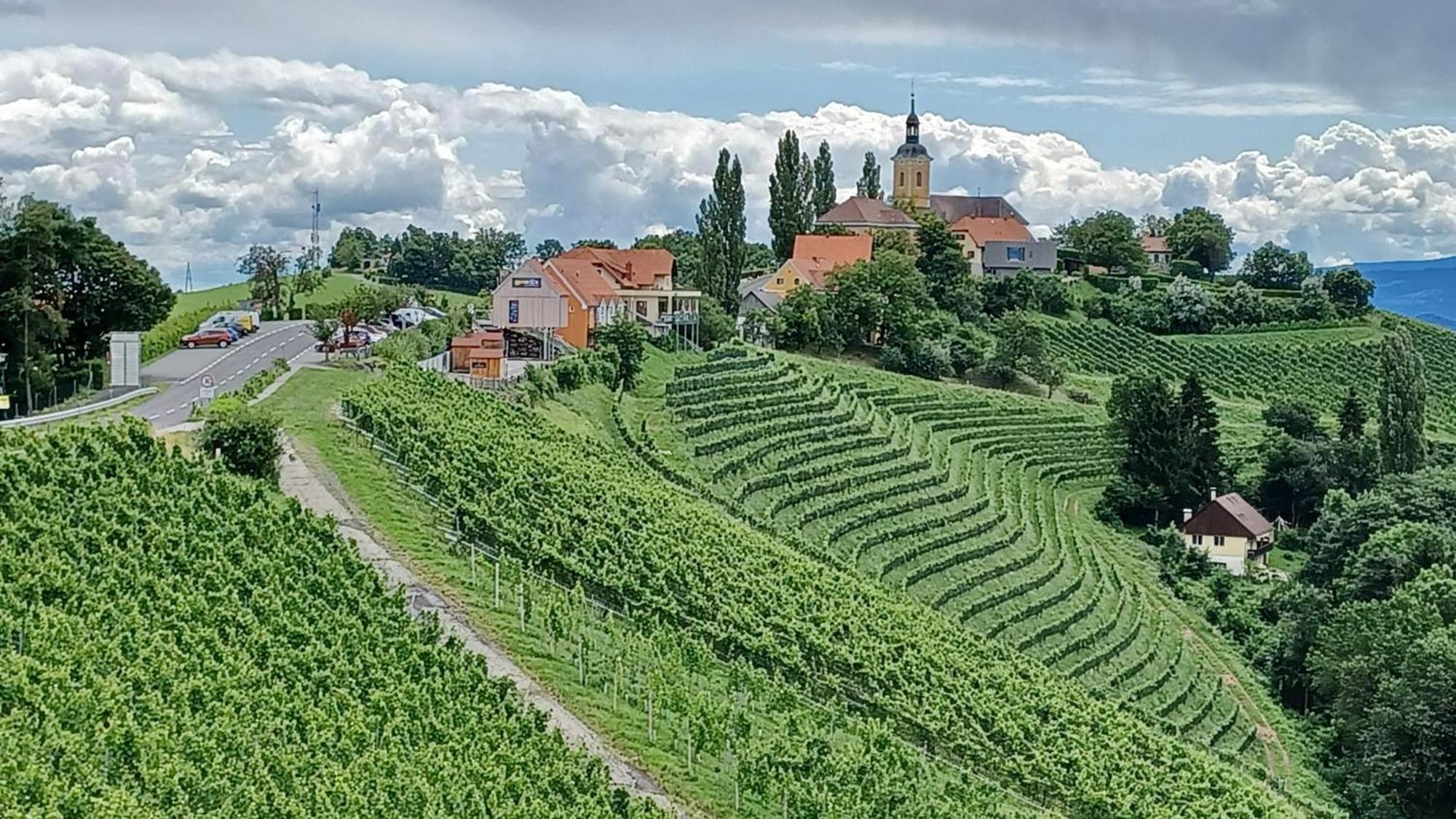 Отель Wohlmuth-Lueckl Китцекк-им-Заузаль Экстерьер фото