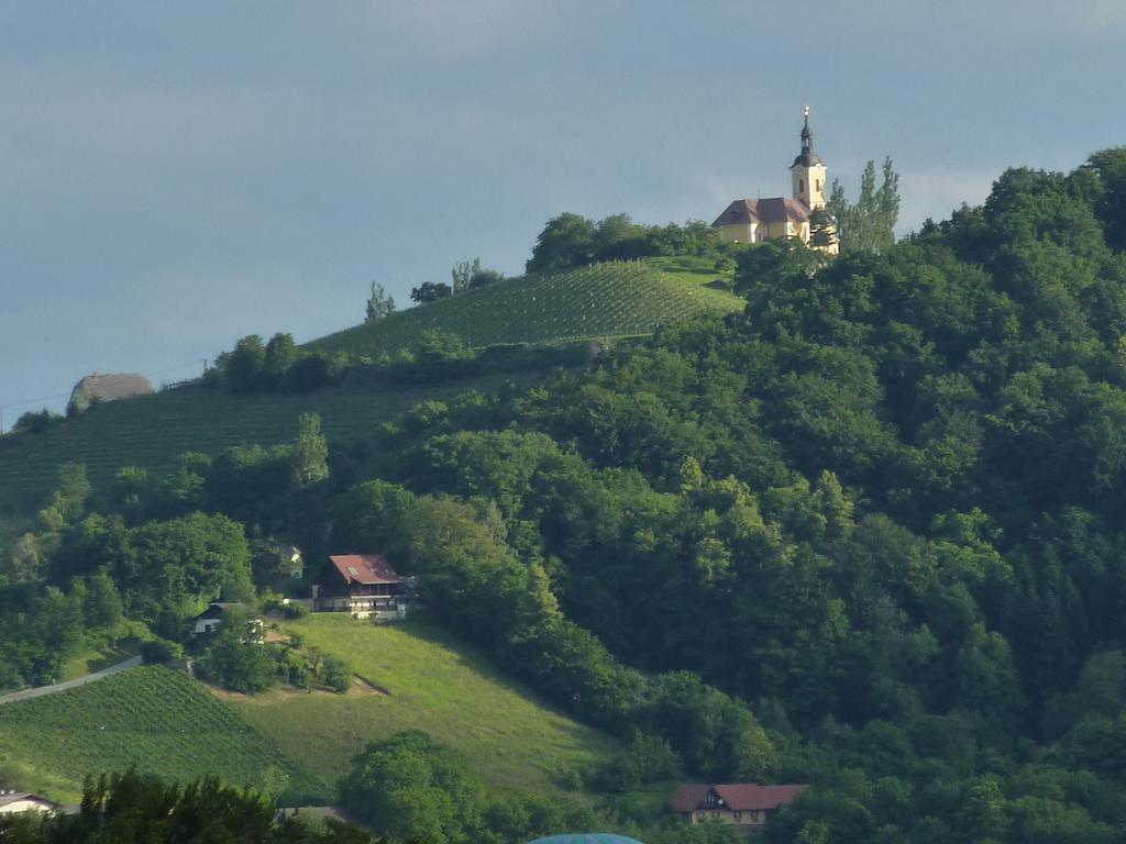 Отель Wohlmuth-Lueckl Китцекк-им-Заузаль Экстерьер фото